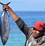 Ikan Tongkol Ikan Tenggiri Ikan Tuna Dan Ikan Kembung Merupakan Contoh Keanekaragaman Hayati Tingkat